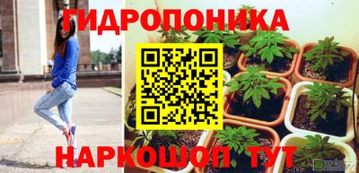 МДПВ Краснознаменск