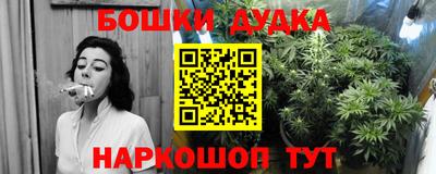 МДПВ Краснознаменск