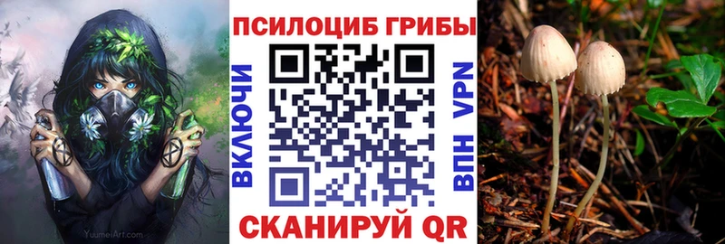 Псилоцибиновые грибы мухоморы  МЕГА ссылка  Иваново 